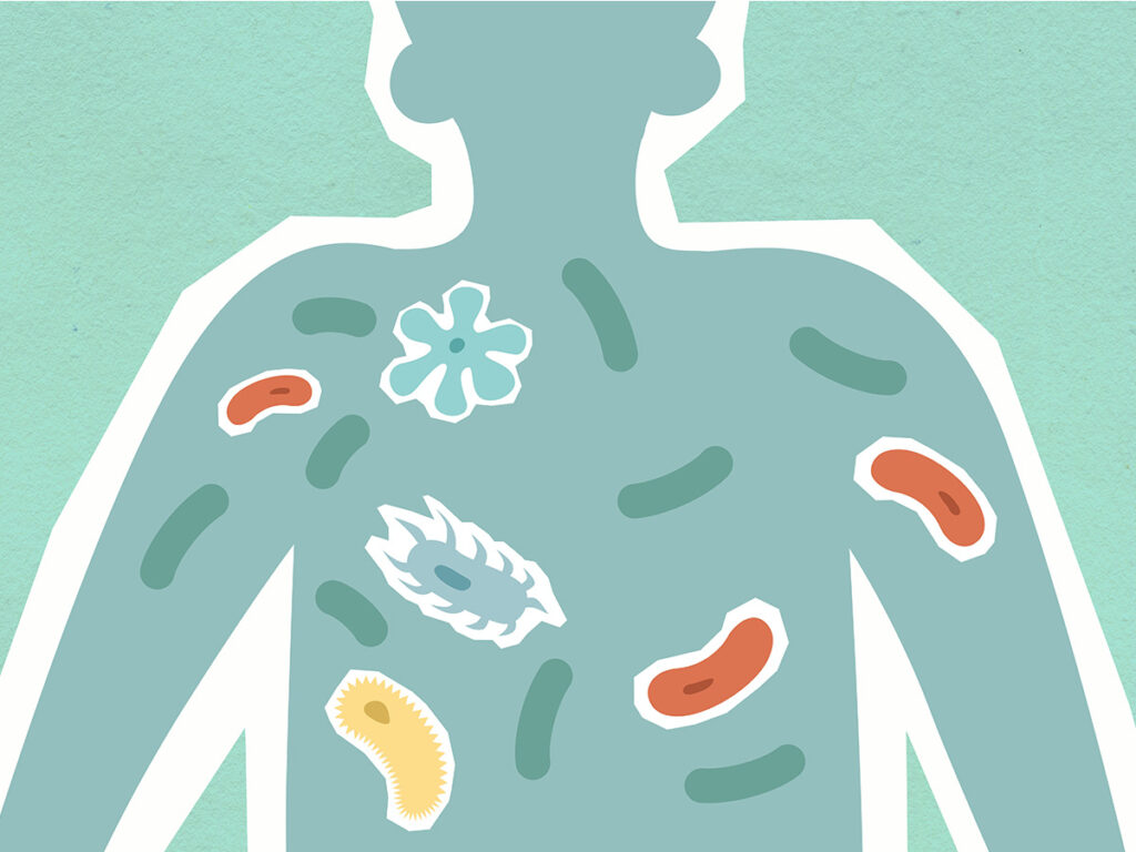 human gut microbiome